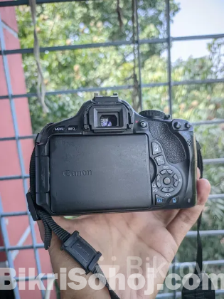 Canon 600D with 55-250 Zoom lench